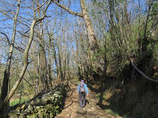 Casomera-Rumañón-Carrena