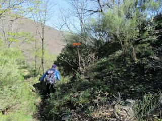 Casomera-Rumañón-Carrena