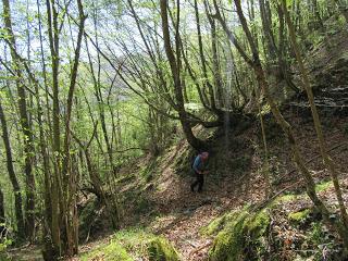 Casomera-Rumañón-Carrena