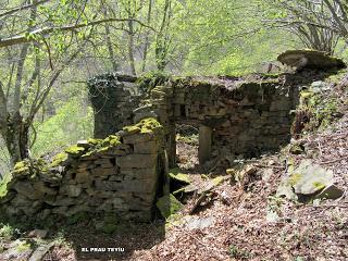Casomera-Rumañón-Carrena