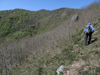 Casomera-Rumañón-Carrena