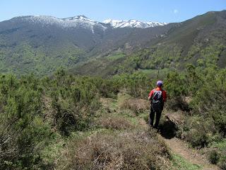 Casomera-Rumañón-Carrena