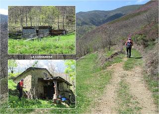 Casomera-Rumañón-Carrena