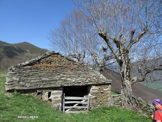 Casomera-Rumañón-Carrena