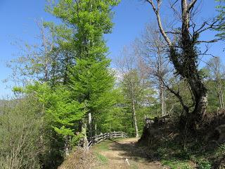 Casomera-Rumañón-Carrena