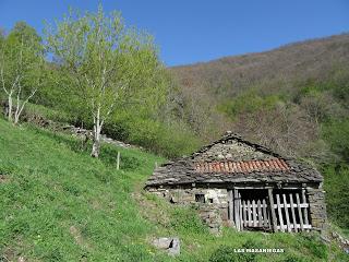 Casomera-Rumañón-Carrena