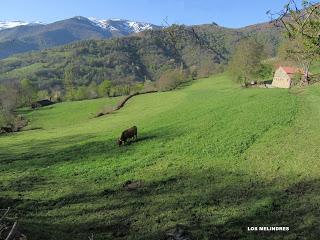 Casomera-Rumañón-Carrena
