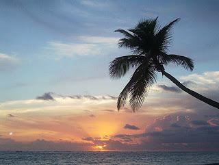 Programa Número 109 de Dj Savoy Truffle en Música Sideral. Especial canciones de verano y viajes. Programa Número 109 de Dj Savoy Truffle en Música Sideral. Especial canciones de verano y viajes.