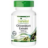 Extracto de hojas de Olivo - fairvital - 90 cápsulas vegetarianas - 20 % de oleuropeína - 500 mg