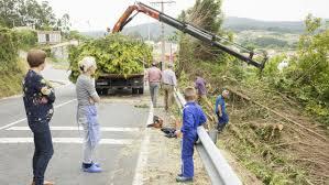 GALICIA, tala sus bosques en los márgenes de las carreteras. GALICIA, tala sus bosques en los márgenes de las carreteras.