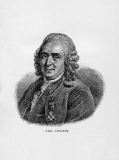 Carl Linnaeus, Sarah K. Bolton