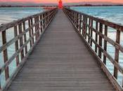 Intercambio juvenil “AgriRoots” (Italia)