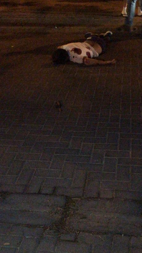 Ultima hora: Atentado terrorista en Jerusalem