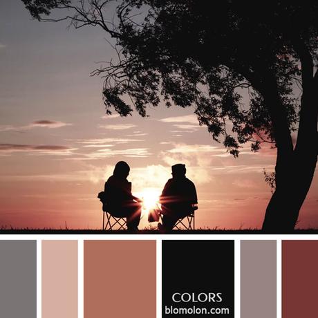 Variedad En Color 8 Paletas Variedad En Color 8 Paletas