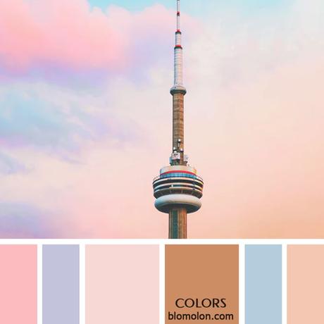 Variedad En Color 8 Paletas Variedad En Color 8 Paletas