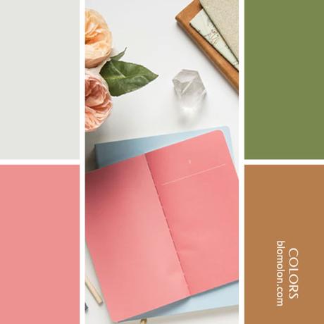 Variedad En Color 8 Paletas Variedad En Color 8 Paletas