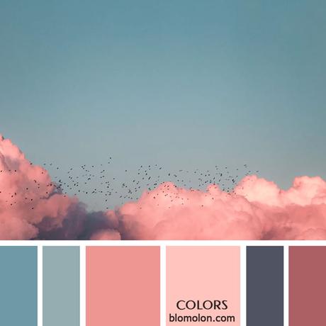 Variedad En Color 8 Paletas Variedad En Color 8 Paletas