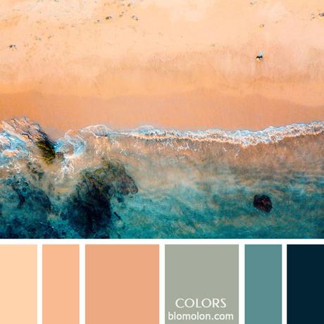 Variedad En Color 8 Paletas Variedad En Color 8 Paletas