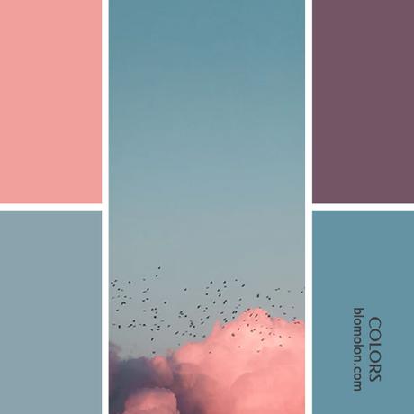 Variedad En Color 8 Paletas Variedad En Color 8 Paletas