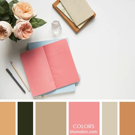 Variedad En Color 8 Paletas Variedad En Color 8 Paletas