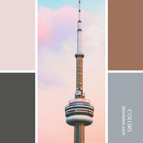 Variedad En Color 8 Paletas Variedad En Color 8 Paletas