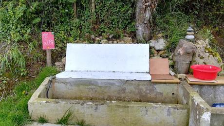 Trabajos de limpieza y restauración en Carda, Villaviciosa, Camino del Norte.