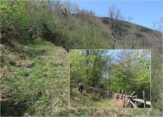 Piñera Riba-Yanos de Somerón