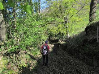 Piñera Riba-Yanos de Somerón