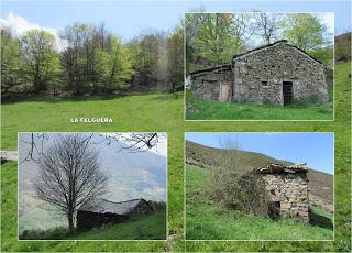 Piñera Riba-Yanos de Somerón