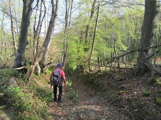 Piñera Riba-Yanos de Somerón