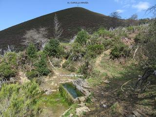 Piñera Riba-Yanos de Somerón