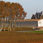 LOS VINOS MÁS RAROS DEL MUNDO