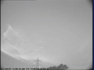 LOS VINOS MÁS RAROS DEL MUNDO