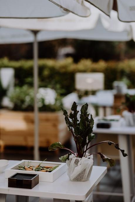 huerto comedor de Terroir