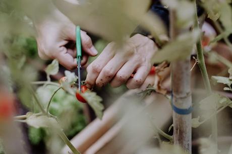huerto comedor de Terroir poble sec