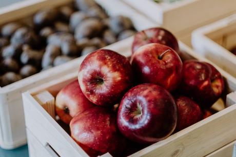 huerto comedor de Terroir restaurant