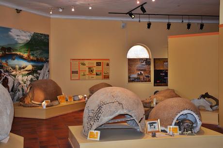 Charla de aves en el museo de Lobería