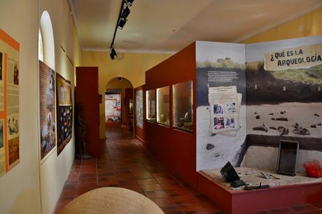 Charla de aves en el museo de Lobería