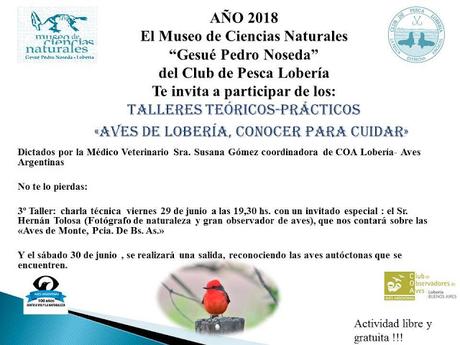 Charla de aves en el museo de Lobería