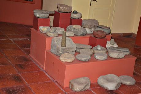 Charla de aves en el museo de Lobería