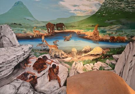 Charla de aves en el museo de Lobería