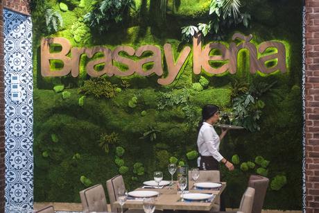 Brasayleña