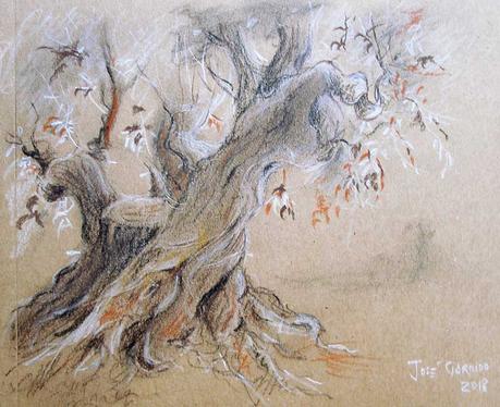 Dibujos en papeles tintados. Árboles, flores y barbas.