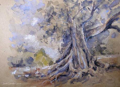 Dibujos en papeles tintados. Árboles, flores y barbas.