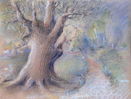 Dibujos en papeles tintados. Árboles, flores y barbas.