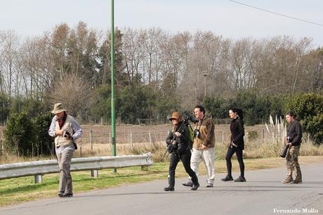 Censo Neotropical de Aves Acuáticas en Monte (julio 2018)