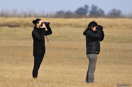 Censo Neotropical de Aves Acuáticas en Monte (julio 2018)