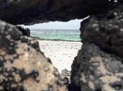 Fuerteventura. Lagos Cotillo libros.