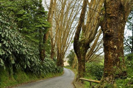 Azores: Qué ver en el concelho de Ribeira Grande