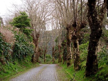 Azores: Qué ver en el concelho de Ribeira Grande